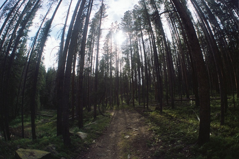 Baker Gulch Trail 19.jpg